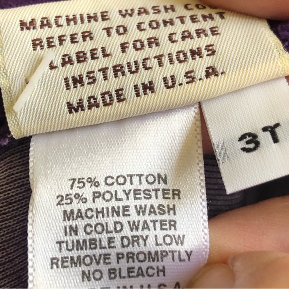 NWT Rebecca Raggs Original Royal Purple Velvet Lace Embroidered Dress Size 3T - Picture 13 of 13